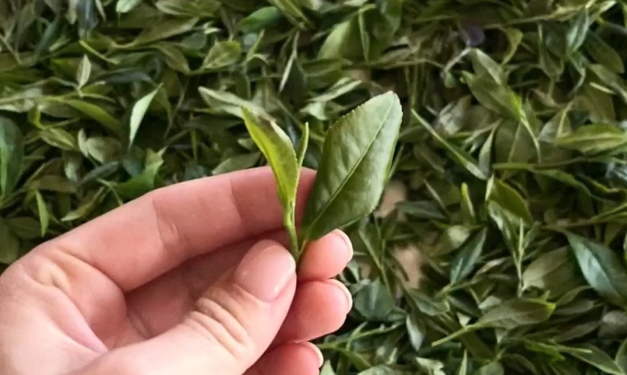 Экосертификат EU Organic: что это значит для вас и нашей продукции